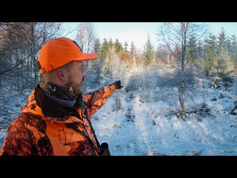 Drückjagd im Schnee – richtig gehandelt? – jagenNRW story #23
