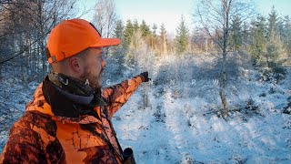 Drückjagd im Schnee – richtig gehandelt? – jagenNRW story #23