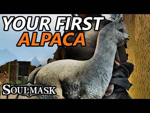 How to Get Alpaca Mount - Soulmask