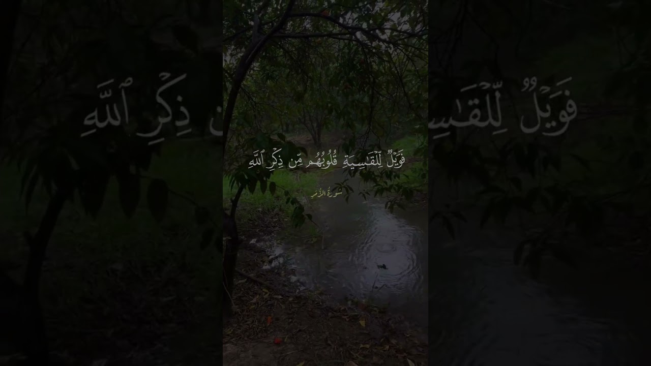 #islam #Quran#shorts #القرآن_الكريم #الاستغفار #الاسلام