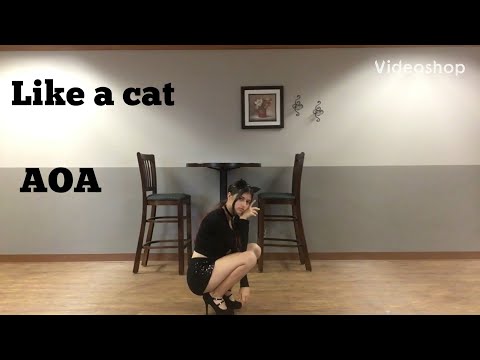 Like a cat - AOA