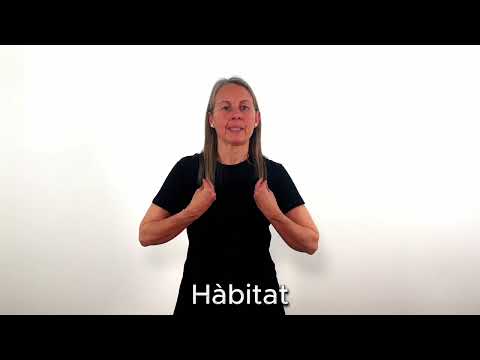 Hàbitat - LSC