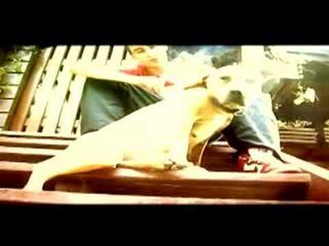 Auténtico - El Puto Coke