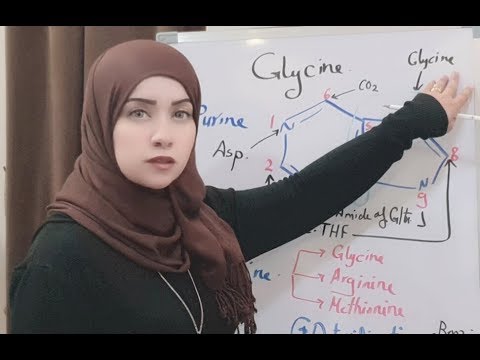 ( Protein Metabolism Session 9) Glycine Metabolism Cont.