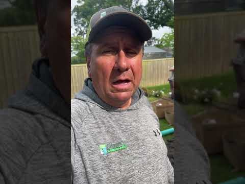 River Ridge Louisiana drainage system for a flooding patio and backyard by Clean Cut Landscape