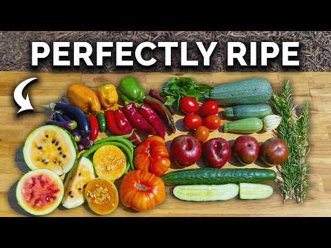 Garden With Me Starting Seeds Pruning Composting