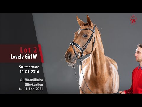 61. Westfälische Elite-Auktion Lot 2 Lovely Girl W Stute v. Livaldon - Florestan I