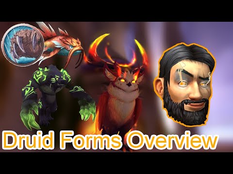 How to Obtain ALL Druid Forms! | World of Warcraft Class Guides