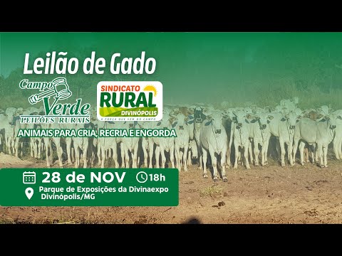 🌟LEILÃO DE GADO - PARQUE DE EXPOSIÇÕES DE DIVINÓPOLIS/MG🎥