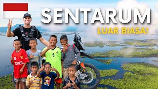 Download lagu DANAU SENTARUM - Dayak Life, Culture & Adventure (West Kalimantan) mp3 Download lagu DANAU SENTARUM - Dayak Life, Culture & Adventure (West Kalimantan) mp3