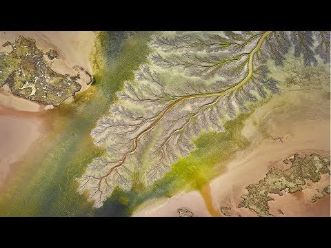 Tony Hewitt 2: Capturing Poetry Through Soulful Photography: The reDefine Show with Tamara Lackey