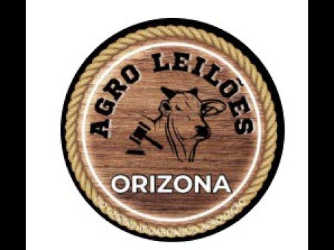 Agro Leilões Orizona -  22/01/2025