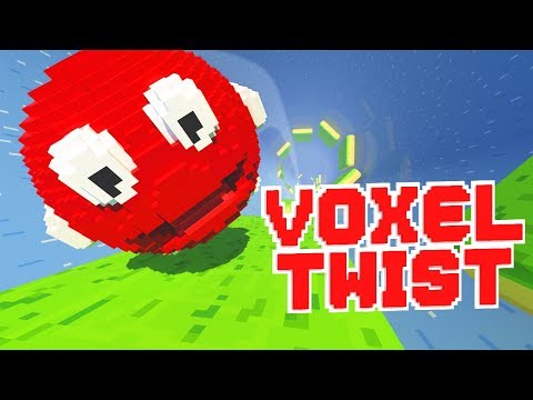 Voxel Twist