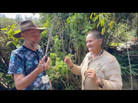 DEUS ME REVELA EM SONHO E ACONTECE - DONA IMACULADA - DELFIM MOREIRA MG
