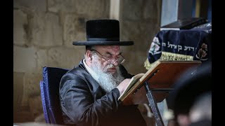 האדמו''ר מלעלוב באמירת קינות תשעה באב