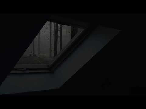 Rain Sounds on an Attic Skylight - 30 Minute Quiet Rainstorm