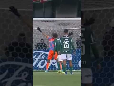 Gol de Gustavo Scarpa contra o Desportivo Táchira. Gol do Palmeiras na Libertadores