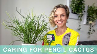 How I Care For My Pencil Cactus - Green Moments With Juliette Episode #04