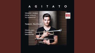 Georg Philipp Telemann - Tamas Palfalvi video