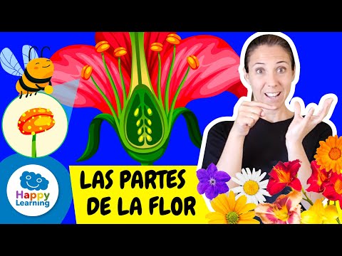 Cómo signar Flor en LSE