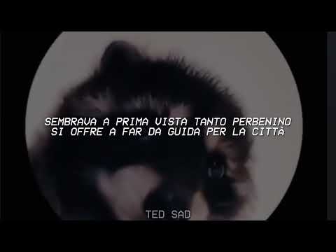 PEDRO - Raffaella Carrà, Jaxomy, Agatino Romero (Remix TikTok - Letra) pedro pedro pedro pe-
