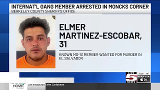 VIDEO: Wanted international gang member arrested during Berkeley Co. traffic stop