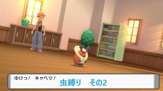 【虫タイプ縛り】虫だらけのポケモンシャイニングパール【その2】