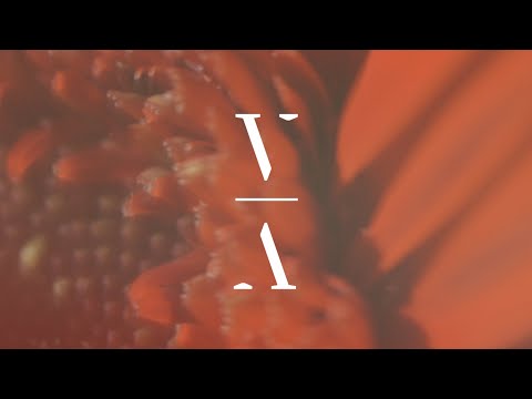 Anderholm - See How It Ends