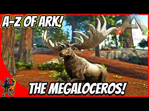 A-Z Of Ark! The MEGALOCEROS THE GATHERER OF ALL THINGS THATCH!! || Ark Survival Evolved!