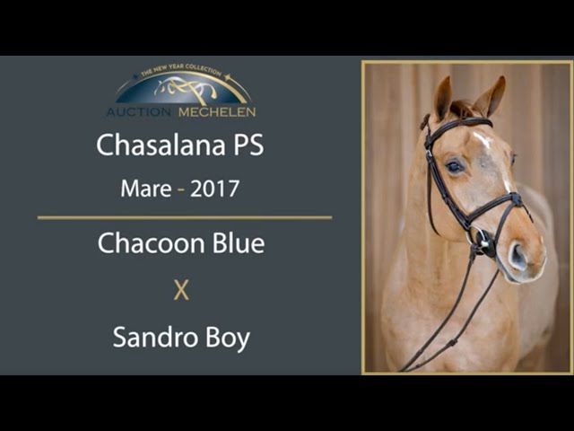 Chasalana PS