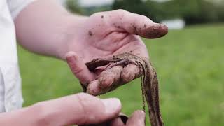 Yeo Valley The soil ate our undies!