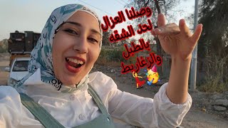 من فرحتى وقفت ف شباك عربيتي????وفى الشارع سمعتهم زغاريطي????قلبي بيرقص من الفرحه الحمدلله عدت على خير????