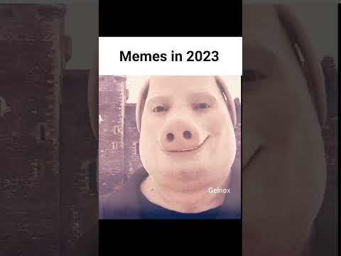 Memes 2025 vs 2023