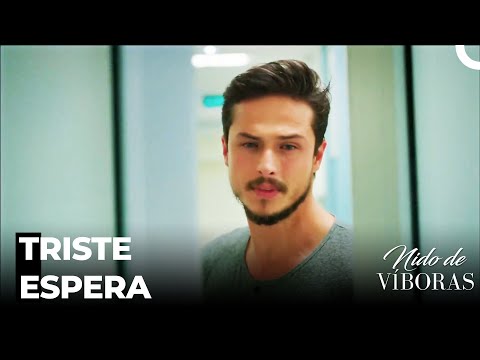 El Estado De Elvan Es Crítico - Nido De Víboras Capitulo 19 (Dobladas en Español)