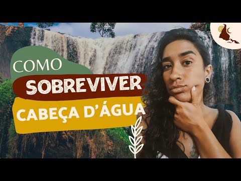 O Rio - Cabeça D'água