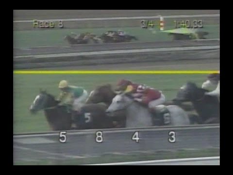1993 San Luis Obispo Stakes