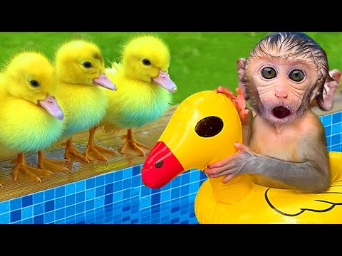 Bebé Mono BonBon va a pescar y come rica sandía arcoíris en casa - MONO BONBON ESP