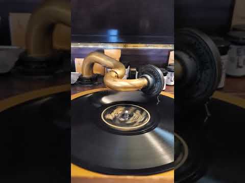 The Little White House - (vocal Irving Kaufman)  Irwin Abrams' Dance Orch  Regal Records #8185 1926