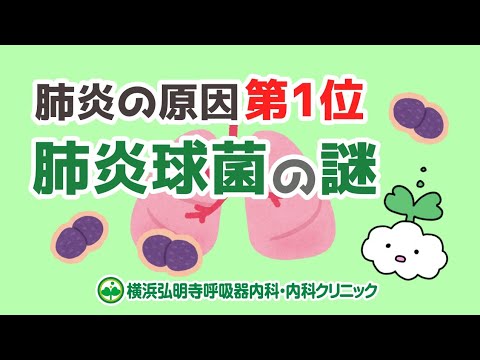 肺炎球菌について詳しく解説