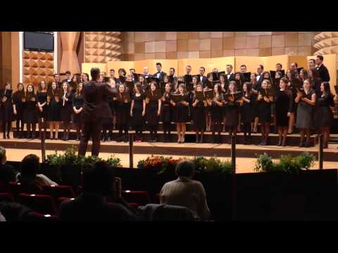 AMiCUS Timisoara -  The Ground / Ola Gjeilo