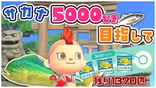 【あつ森】100匹連続釣り上げろ！マイレージミッション全制覇に向けて釣りまくるっ🎣The雑談【あつまれどうぶつの森】