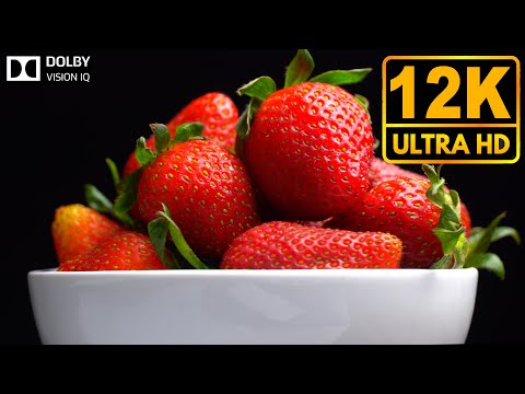 World To Life 12K HDR 60fps / Dolby Vision