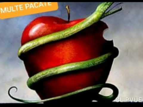 FLORIN PURICE - MULTE PACATE - 2020 -NEW