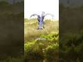 Why The Legendary Birds HATE Lugia ️ Pokemon Lugia Articuno Zapdos Nintendo