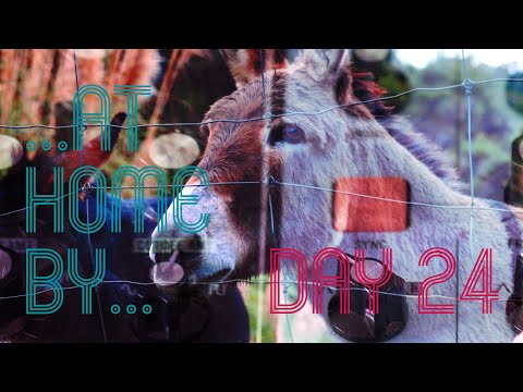 ..At Home By... Platero Y Lunero  ( Day 24 ) . Moog Grandmother, Massive X.