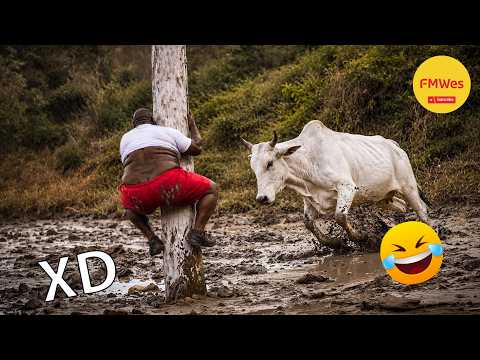 Funny Videos 🤣 If You Laugh You Lose GOD LEVEL #731 😎Mexican Viral Humor🤣