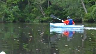 preview picture of video 'Kayaking the Pocomoke (3)'