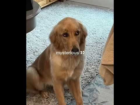 everybody looks to the last everybody loves the life everybody or sight to song 🥰🥰🥰🥰🥰🥰