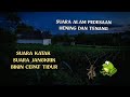 Suara Jangkrik Dan Kodok Di Pedesaan Pada Malam Hari Bikin Tenang Untuk Pengantar Tidur