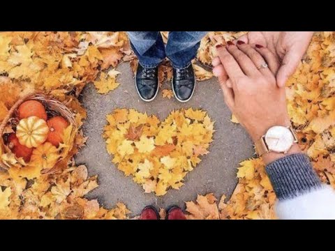 Hatay Crew-Kanma arkadaş